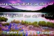 أجمل القصائد العربية
