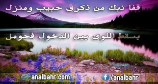 أجمل القصائد العربية