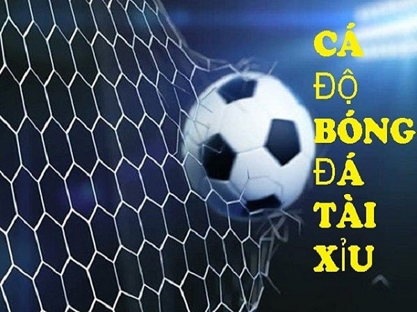 Ví dụ cách tính tiền thắng thua kèo tài xỉu 2 1 4