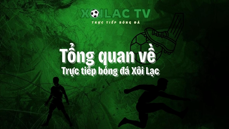 tổng quan về xoilac