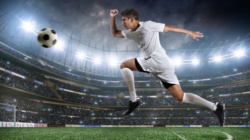 Những dữ liệu chính được cung cấp